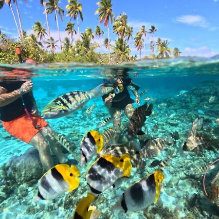 Tevaitoa Hutiarii House & Car & Excursions Raiateaヴィラ エクステリア 写真