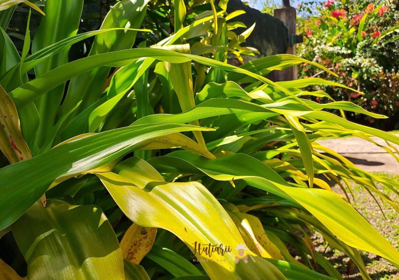 Tevaitoa Hutiarii House & Car & Excursions Raiateaヴィラ エクステリア 写真