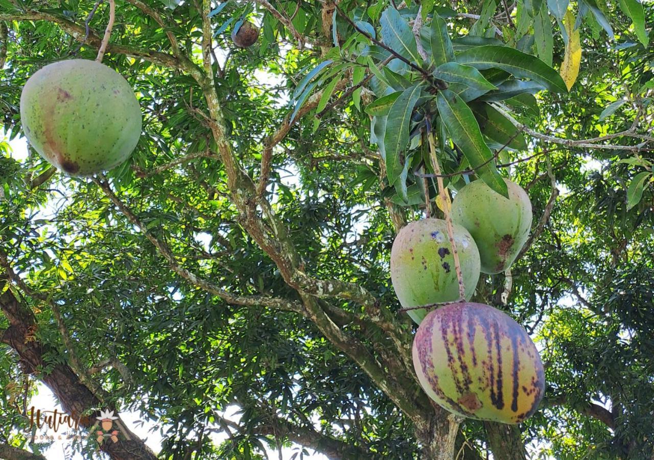 Tevaitoa Hutiarii House & Car & Excursions Raiateaヴィラ エクステリア 写真